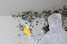 Best Mold Damage Restoration  in Irwindale, CA